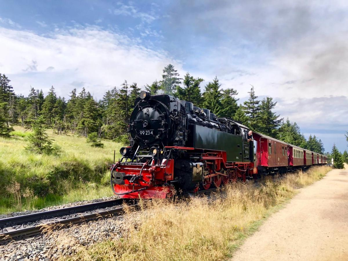 Fewo Harzgipfel Mit Dampfdusche #Innestadtnaehe#Netflix Von Harztraveler Bad Harzburg Eksteriør bilde